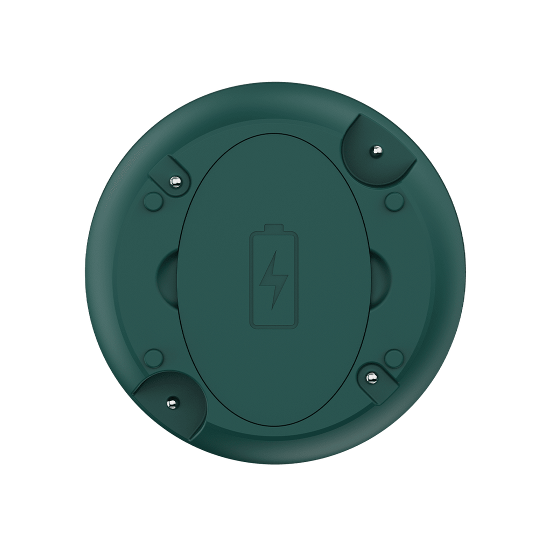 AIWSH AWS - TD10 AI Water Leak Alarm with 24/7 Detection & LPWAN Long - Range Wireless Alerts for Reliable Home Safety Protection Refill - AIWSH